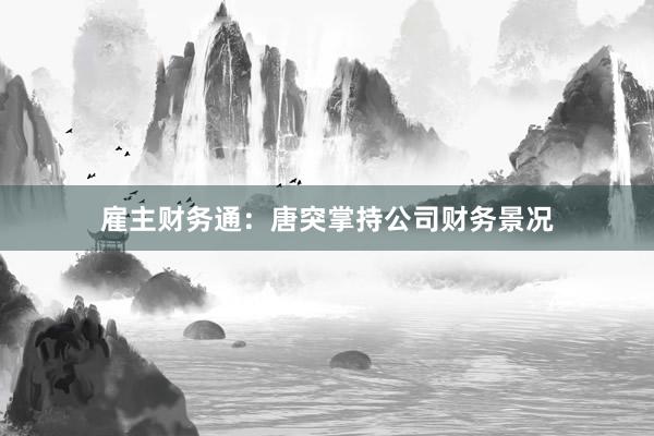 雇主财务通：唐突掌持公司财务景况