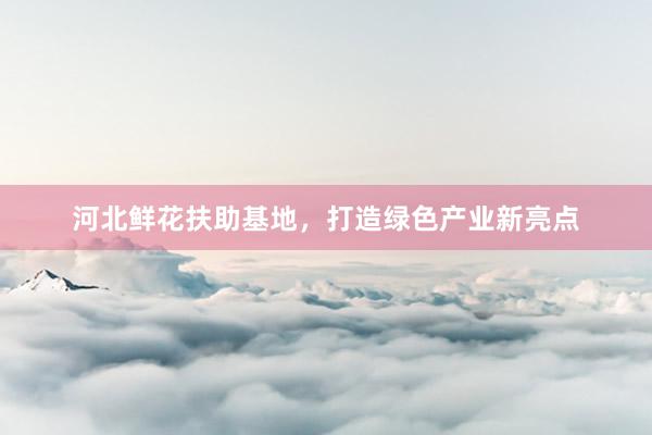 河北鲜花扶助基地，打造绿色产业新亮点